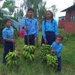 Banana Harvest school